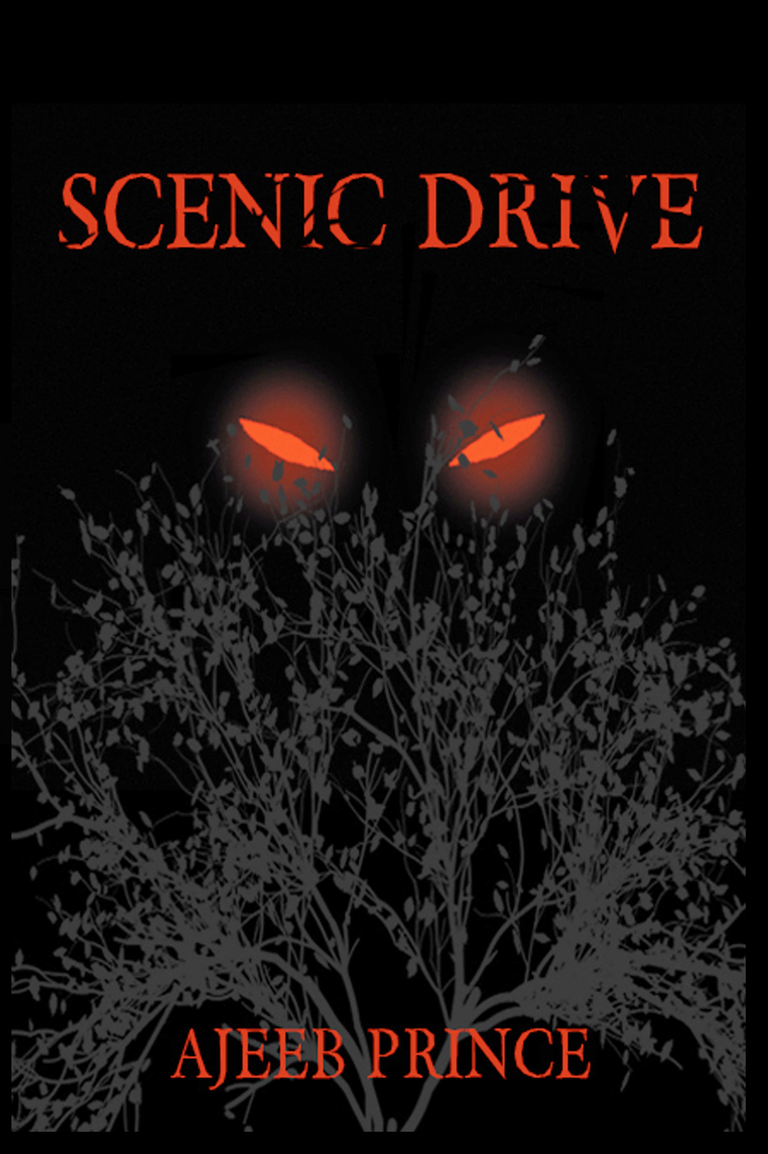 Scenic-Drive-cover-14